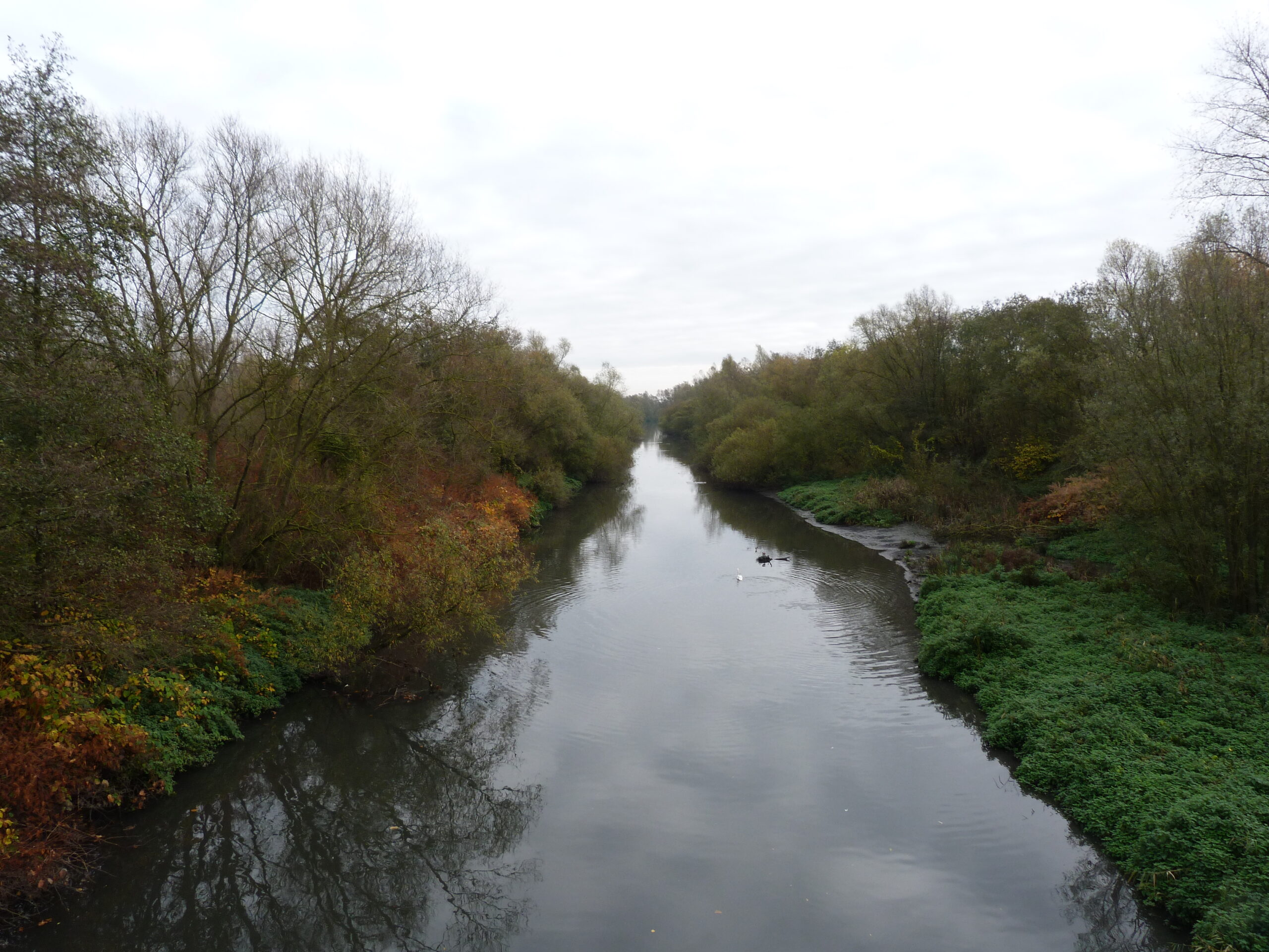 C - canal vue vers l'amont depuis le pont de St Aybert