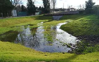 Eaux pluviales